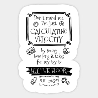 Calculating Velocity Sticker